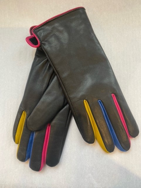 Multi-Colored Leather Gloves