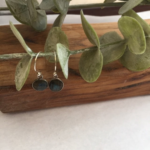 Small Round Labradorite Earrings